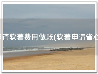 申请软著费用做账(软著申请省心)