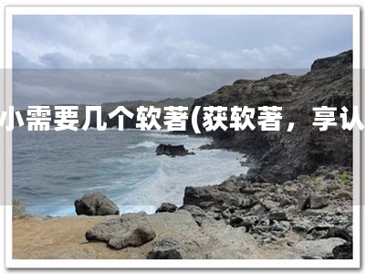 科小需要几个软著(获软著，享认可)