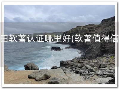 盐田软著认证哪里好(软著值得信任)