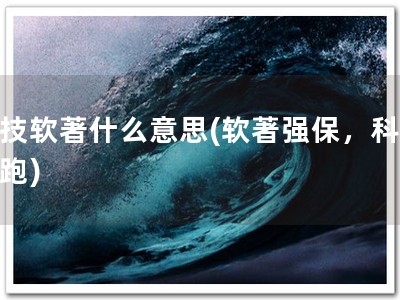 科技软著什么意思(软著强保，科技领跑)