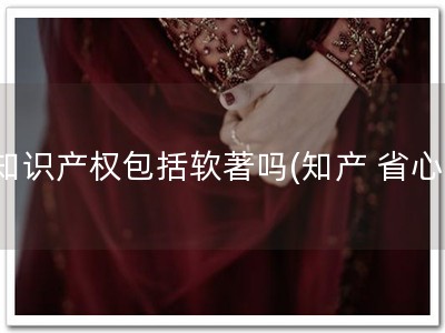 知识产权包括软著吗(知产 省心)