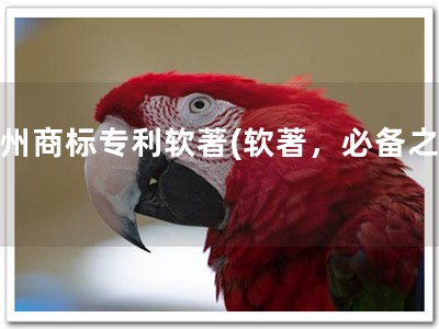 盖州商标专利软著(软著，必备之选)