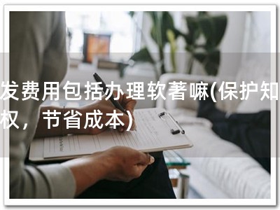 研发费用包括办理软著嘛(保护知识产权，节省成本)