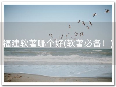 福建软著哪个好(软著必备！)