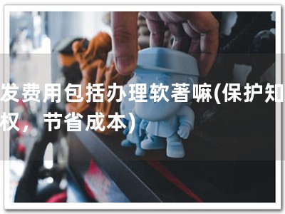 研发费用包括办理软著嘛(保护知识产权，节省成本)