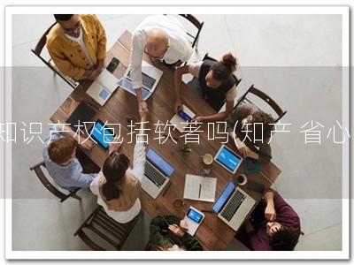 知识产权包括软著吗(知产 省心)