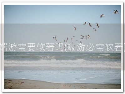 端游需要软著吗(端游必需软著)