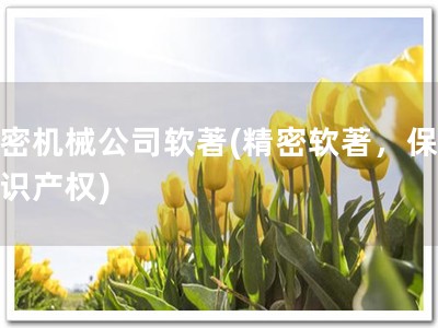 精密机械公司软著(精密软著，保障知识产权)