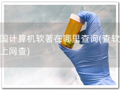 美国计算机软著在哪里查询(查软著，上网查)