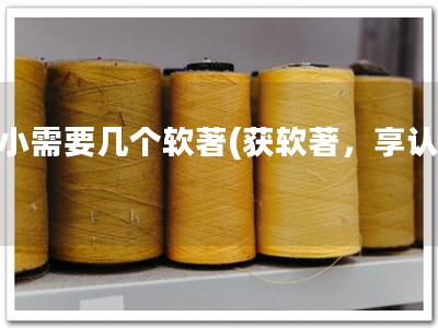 科小需要几个软著(获软著，享认可)