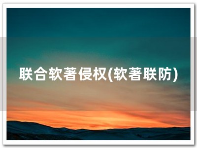 联合软著侵权(软著联防)