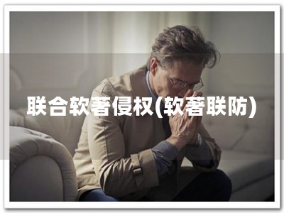 联合软著侵权(软著联防)