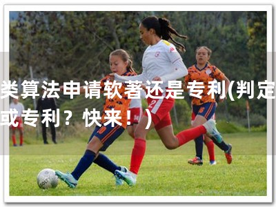 聚类算法申请软著还是专利(判定软著或专利？快来！)