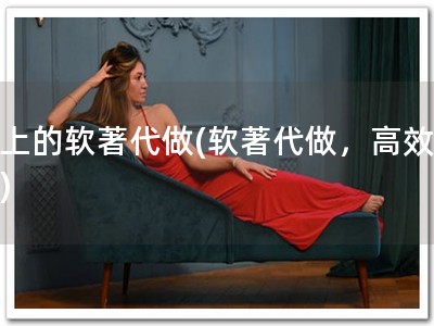 网上的软著代做(软著代做，高效方便)