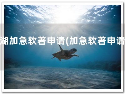 罗湖加急软著申请(加急软著申请！)
