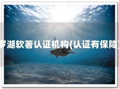 罗湖软著认证机构(认证有保障)