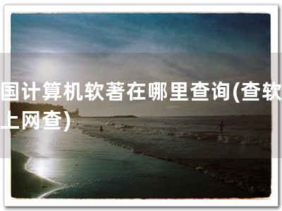 美国计算机软著在哪里查询(查软著，上网查)