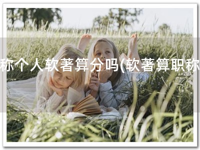 职称个人软著算分吗(软著算职称分)