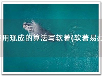 能用现成的算法写软著(软著易办)