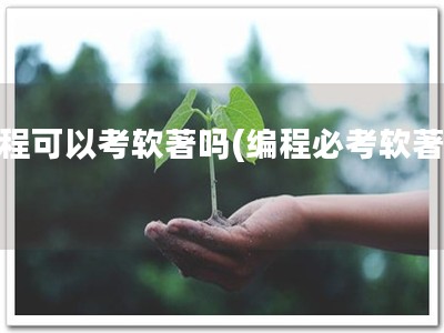 编程可以考软著吗(编程必考软著！)