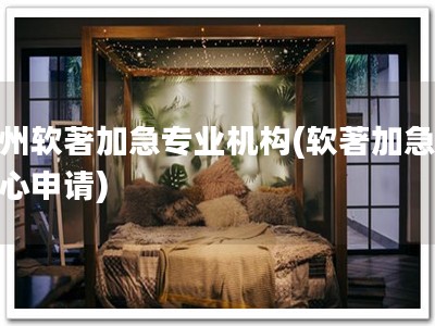 苏州软著加急专业机构(软著加急，安心申请)