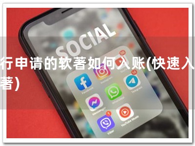 自行申请的软著如何入账(快速入账软著)