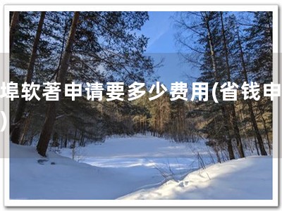 蚌埠软著申请要多少费用(省钱申软著)
