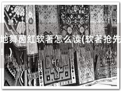 著地舞茵红软著怎么读(软著抢先申请！)