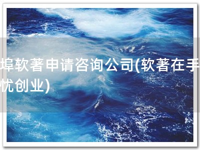 蚌埠软著申请咨询公司(软著在手，无忧创业)