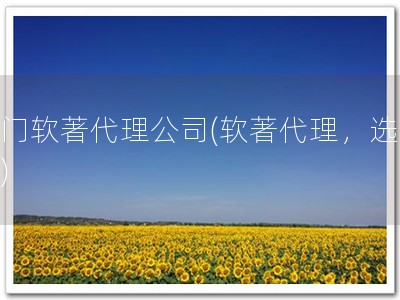 荆门软著代理公司(软著代理，选荆门)