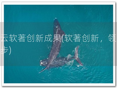 蓝云软著创新成果(软著创新，领先一步)
