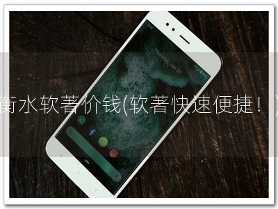 衡水软著价钱(软著快速便捷！)