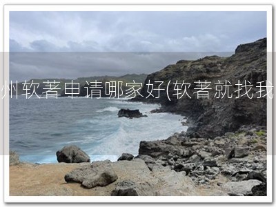衢州软著申请哪家好(软著就找我！)