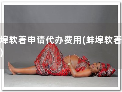 蚌埠软著申请代办费用(蚌埠软著代办)