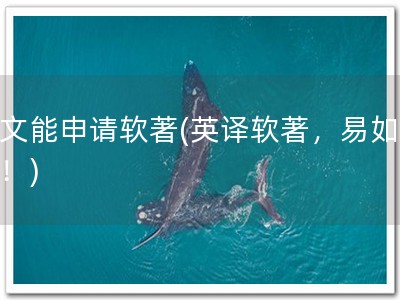 英文能申请软著(英译软著，易如反掌！)