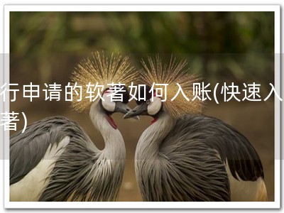 自行申请的软著如何入账(快速入账软著)