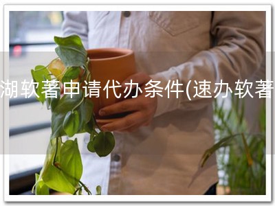 芜湖软著申请代办条件(速办软著！)