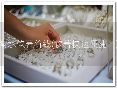 衡水软著价钱(软著快速便捷！)