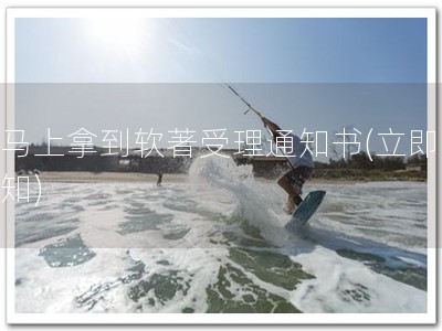 要马上拿到软著受理通知书(立即拿通知)