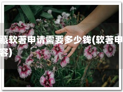 西藏软著申请需要多少钱(软著申请从容)