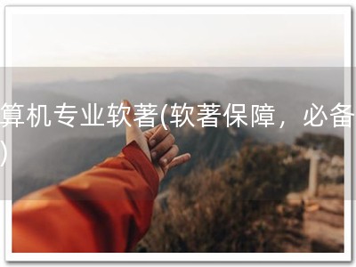 计算机专业软著(软著保障，必备专利)