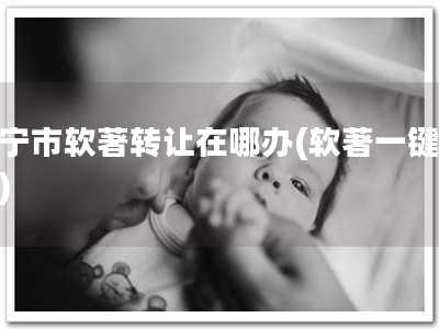 西宁市软著转让在哪办(软著一键转让)