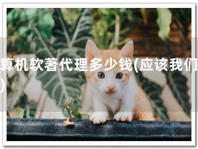 计算机软著代理多少钱(应该我们解答)