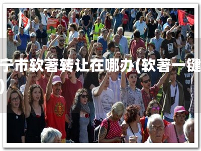 西宁市软著转让在哪办(软著一键转让)