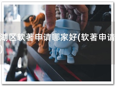 西湖区软著申请哪家好(软著申请优选)