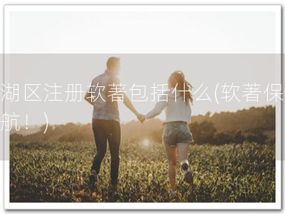 西湖区注册软著包括什么(软著保驾护航！)