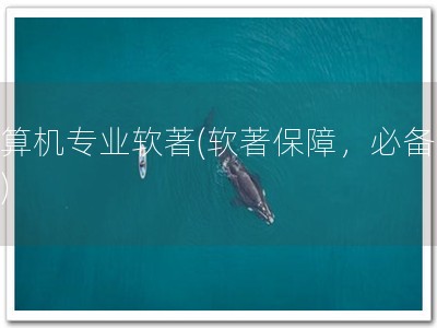 计算机专业软著(软著保障，必备专利)