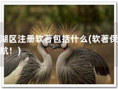 西湖区注册软著包括什么(软著保驾护航！)