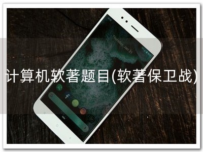 计算机软著题目(软著保卫战)
