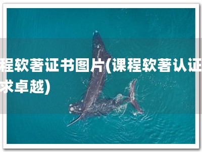 课程软著证书图片(课程软著认证，追求卓越)